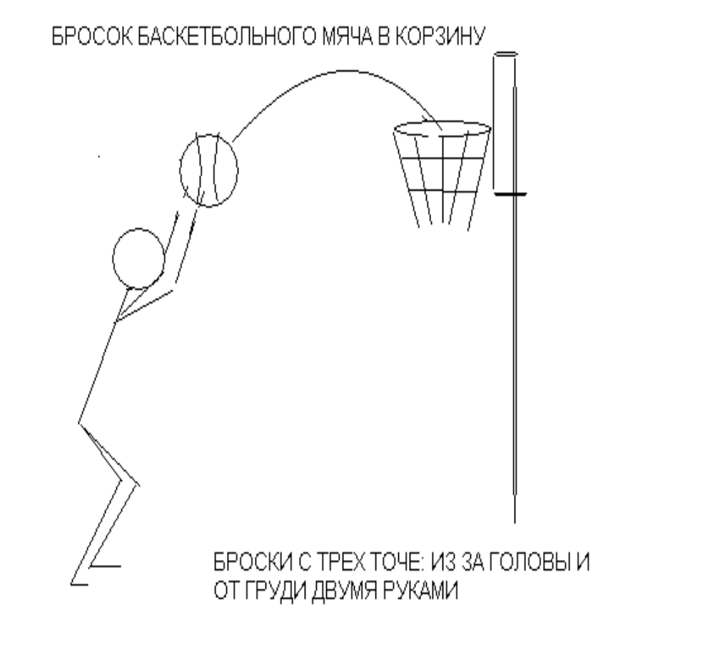 На рисунке представлена траектория мяча