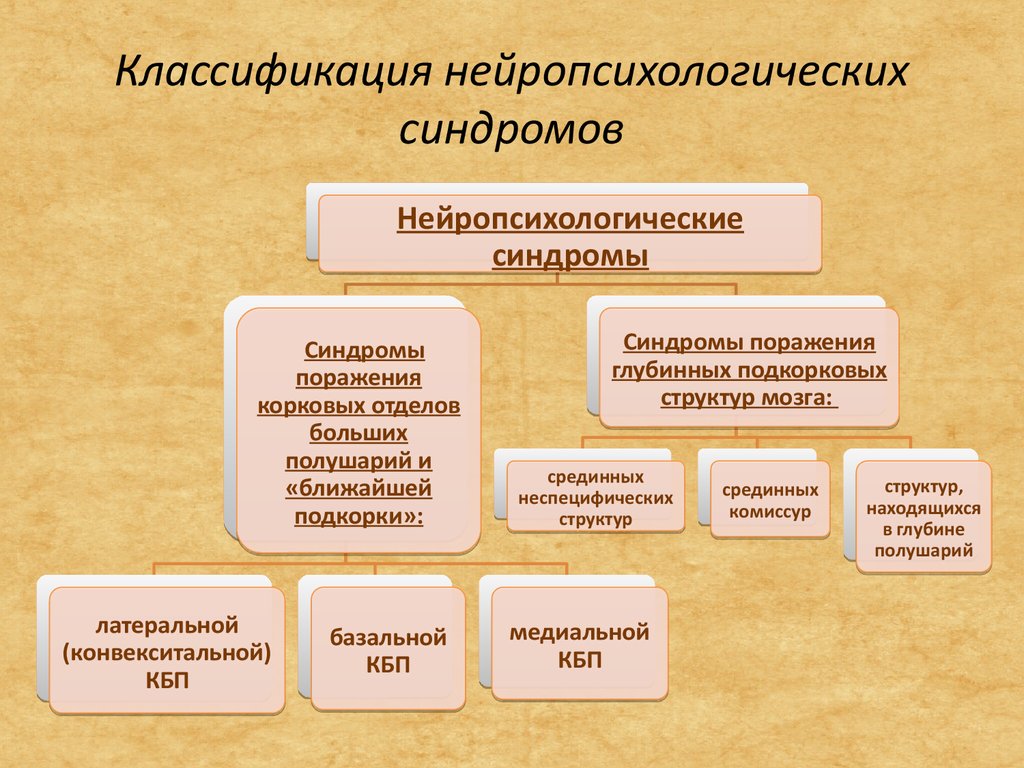 Основные понятия нейропсихологии презентация