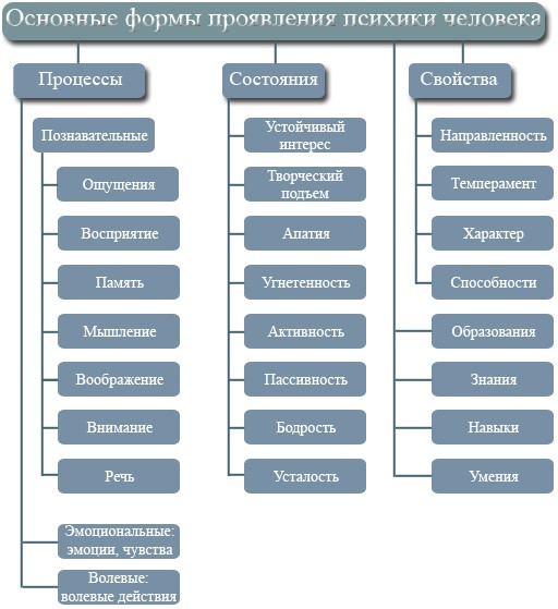 Проявления психики. Основные формы проявления психики человека. Схема проявления психики. Формы проявления психики таблица. Формы проявления психики человека схема.