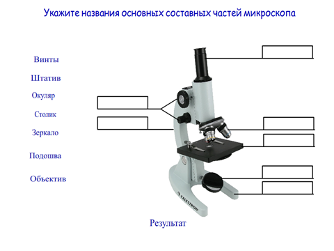 Части микроскопа и их названия