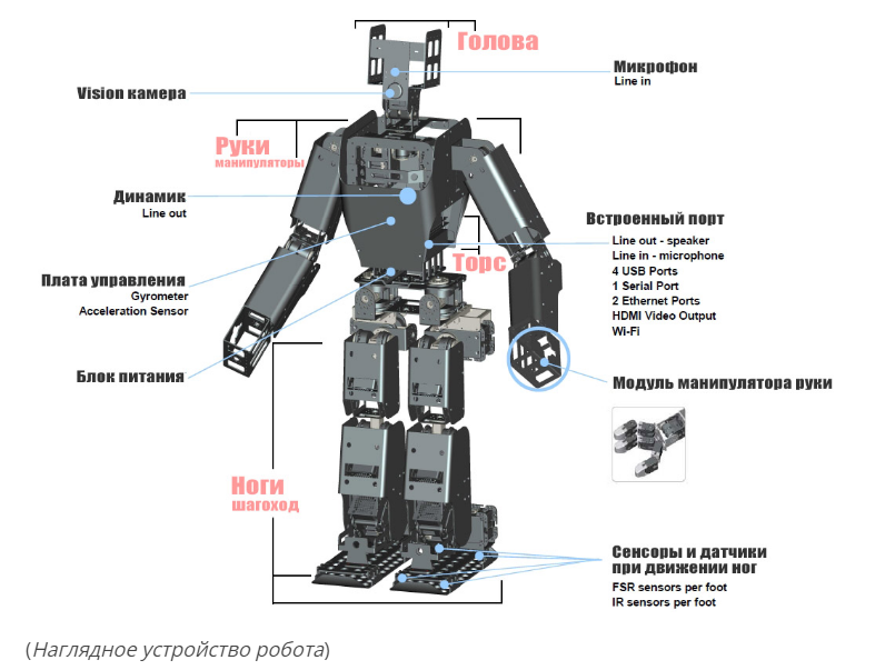 Сценарий робототехника. Структура робота. Роботы конструирование и управление технология 5 класс.