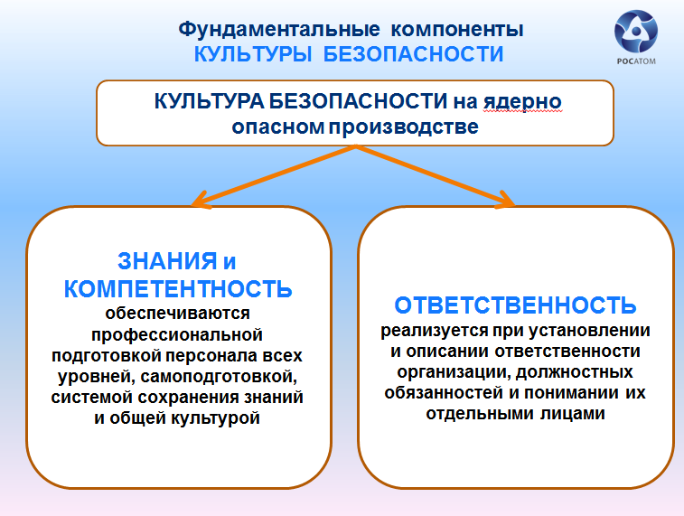 Субъект безопасности