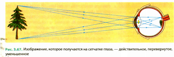 Неравенство величин изображения одного и того же предмета на сетчатке