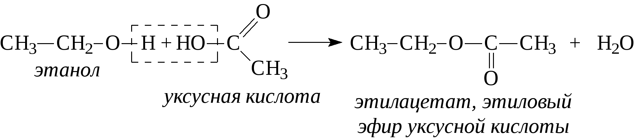 Этилацетат из уксусной кислоты. Как из этанола получить этиловый эфир уксусной кислоты. Синтез этилацетата из уксусной кислоты. Уксусная кислота этиловый эфир уксусной кислоты реакция.