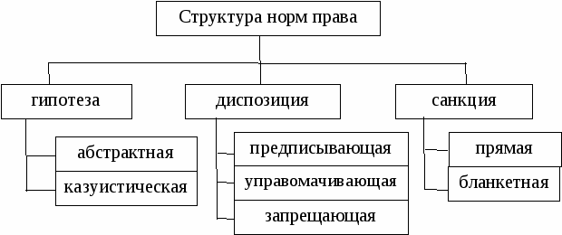 Структура уголовно процессуальной нормы схема