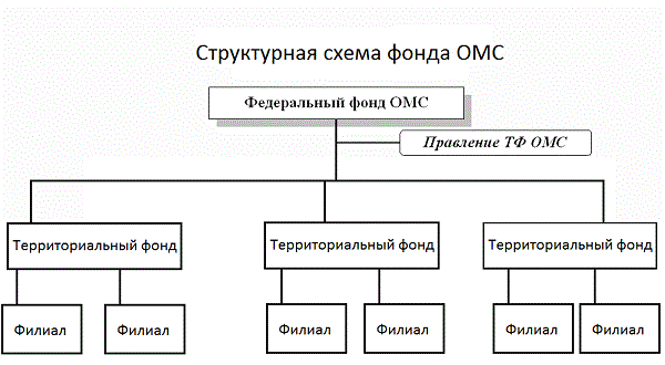 Схема организации и финансирования омс