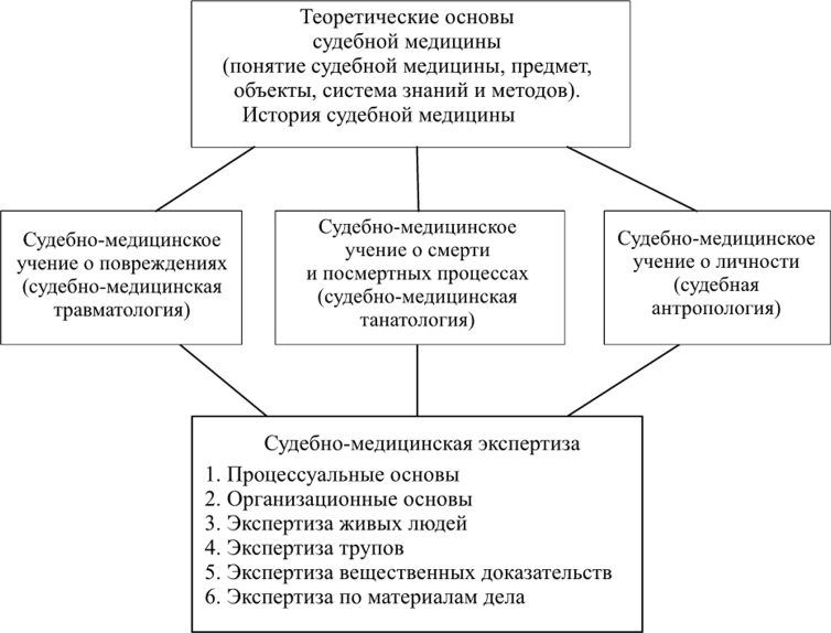 Предмет система и задачи судебной фотографии