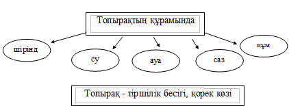 Топырақтың түрлері презентация