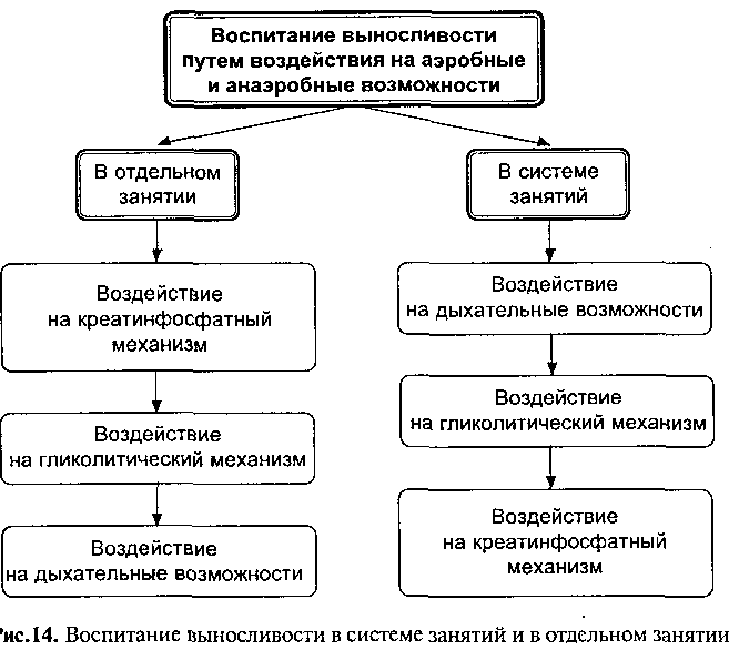 Методы воспитания физических качеств выносливость. Развитие общей выносливости средства и методы. Методика развития выносливости таблица. Методика воспитания общей выносливости таблица. Средства воспитания выносливости таблица.