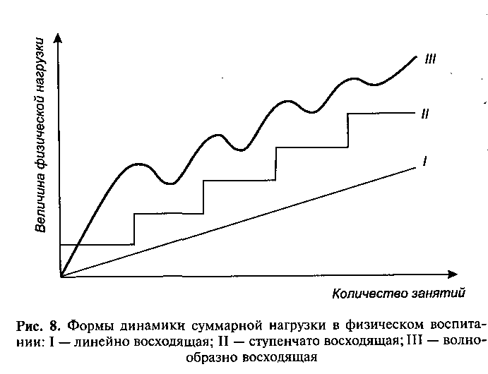 Физическая динамика. Формы динамики суммарной нагрузки в физическом воспитании. Принцип волнообразности динамики нагрузок. Принцип адаптированного сбалансирования динамики нагрузок. Принцип волнообразной динамики нагрузки.