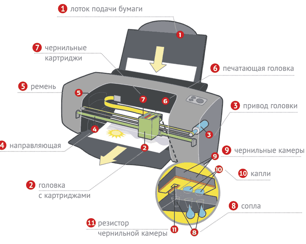 Из чего состоит печатающая головка струйного принтера. Схема печатающей головки струйного принтера. Как устроена печатающая головка струйного принтера. Состав печатающей головки струйного принтера.