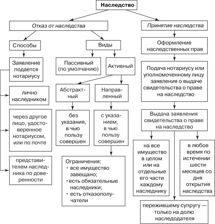 Сроки принятия наследства схема