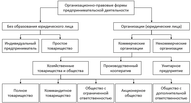 План по обществознанию организационно правовые формы предпринимательской деятельности