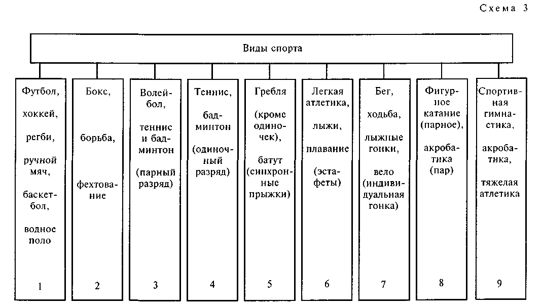 Типы спорта схема