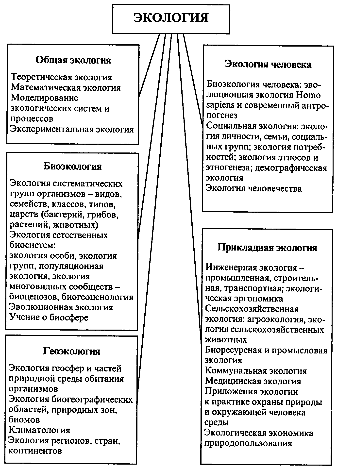 Начертите схему структуры современных экологических знаний