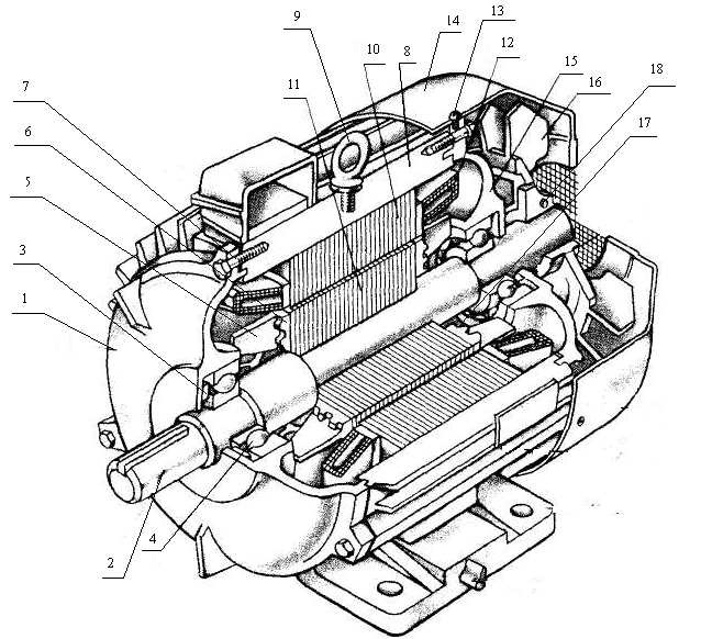 Чертеж ротора асинхронного двигателя