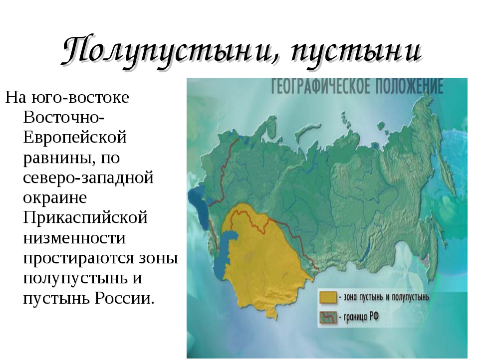 Географическое положение полупустынь и пустынь в россии