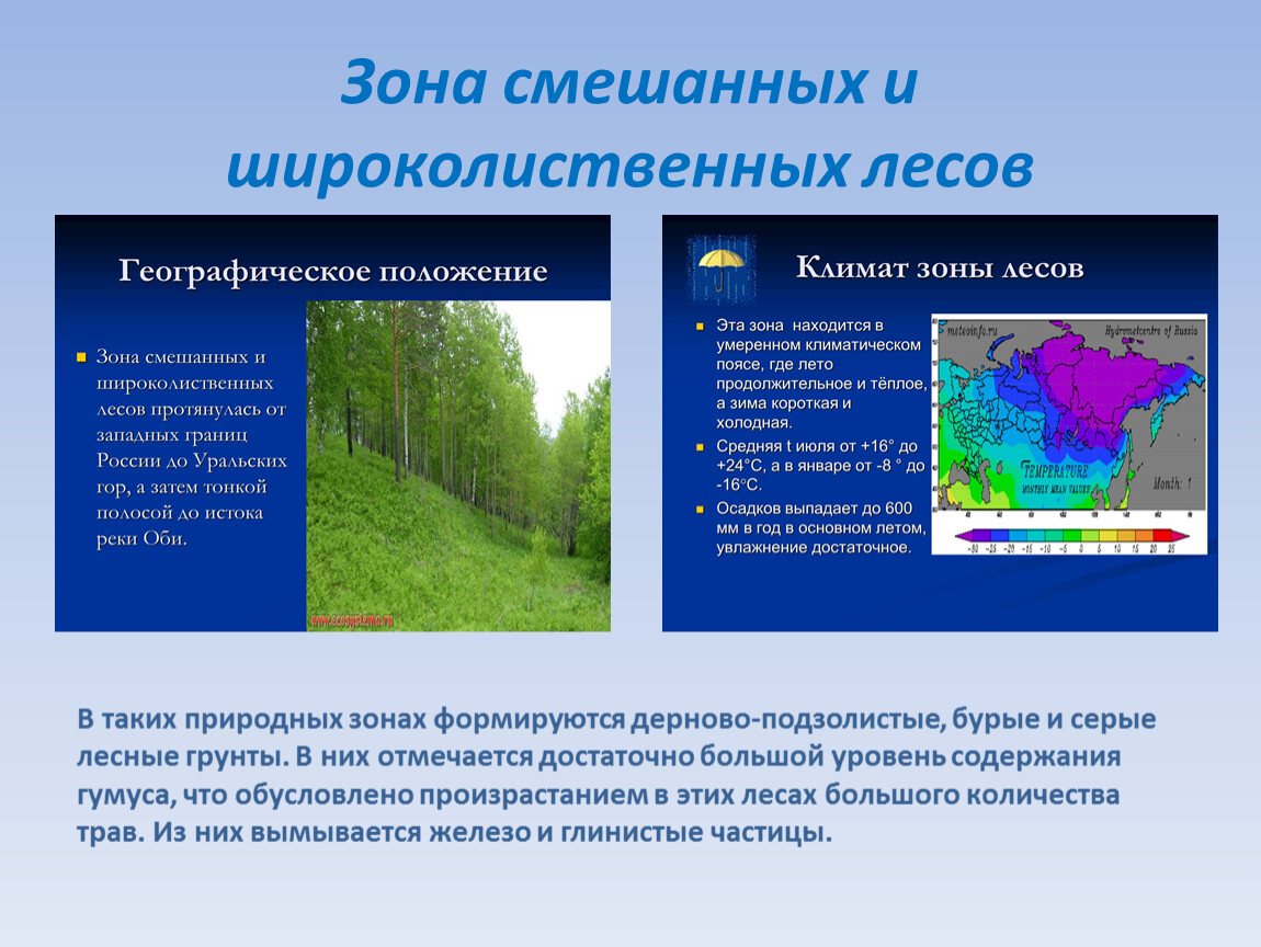 Содержание природный. Природная зона широколиственные леса климат. Зона лесов смешанные широколиственные климат. Тайга смешанные и широколиственные леса таблица. Климат смешанных и широколиственных.