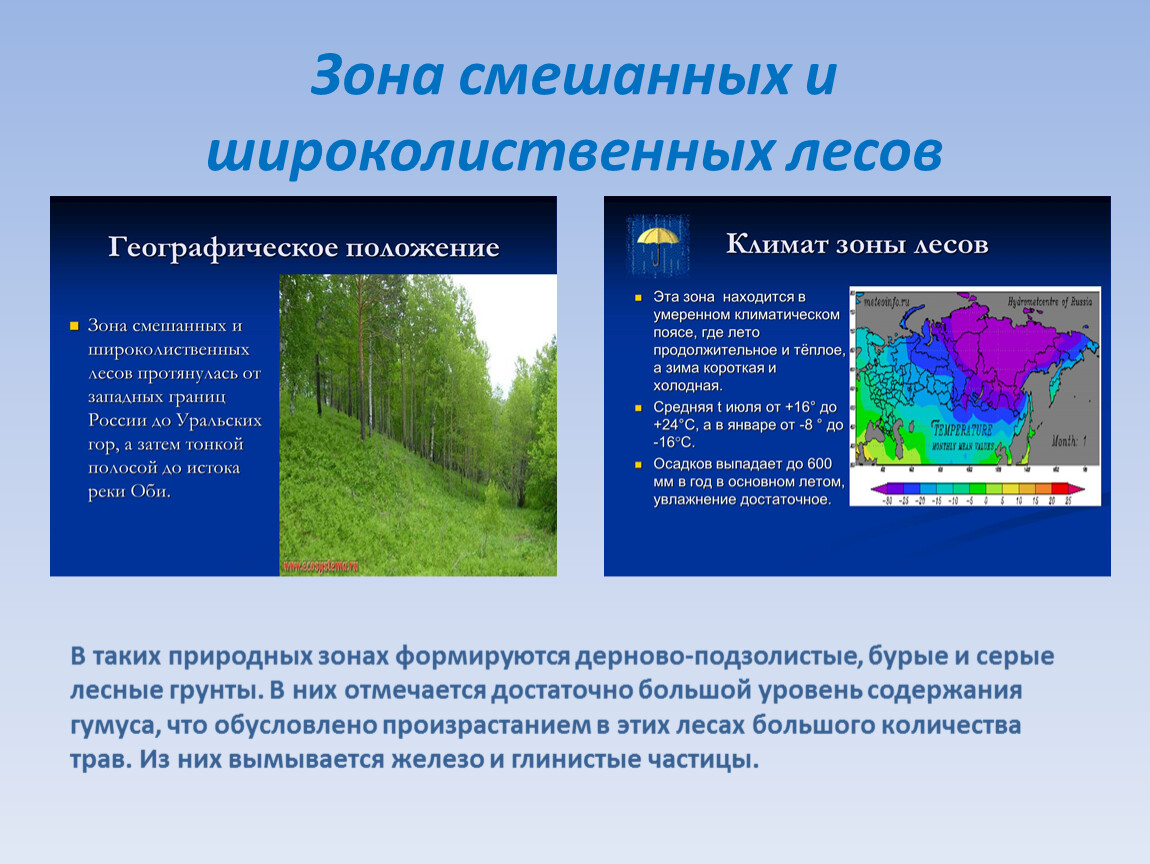 Смешанный лес факторы. Природная зона смешанные. Климо. Зона спешаныз лесов. Географическое положение лесов. Смешанные и широколиственные зоны.