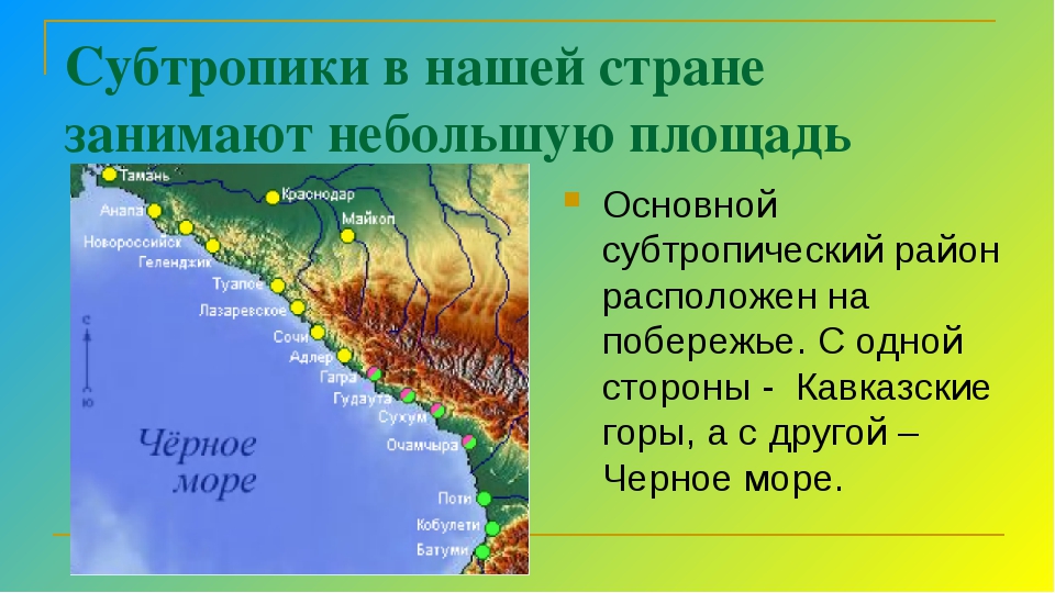 План конспект урока у черного моря