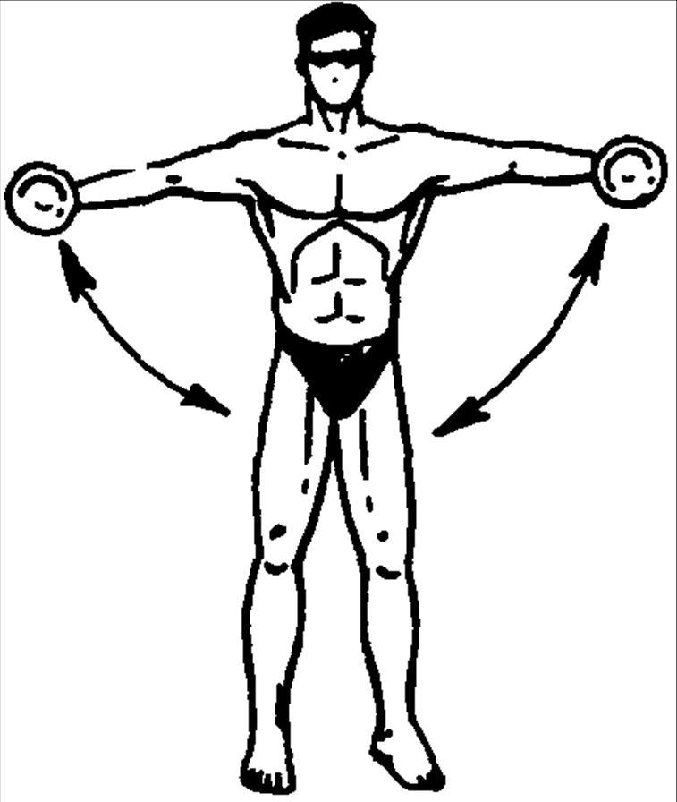 Развитие мышц. Комплекс упражнений для развития мышц плечевого пояса. Упражнения с гантелями для мышц плечевого пояса. Упражнения с гантелями для развития мышц верхнего плечевого пояса. Силовые упражнения на плечевой пояс.