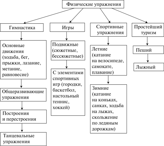 Схема деления учебных групп по физической культуре