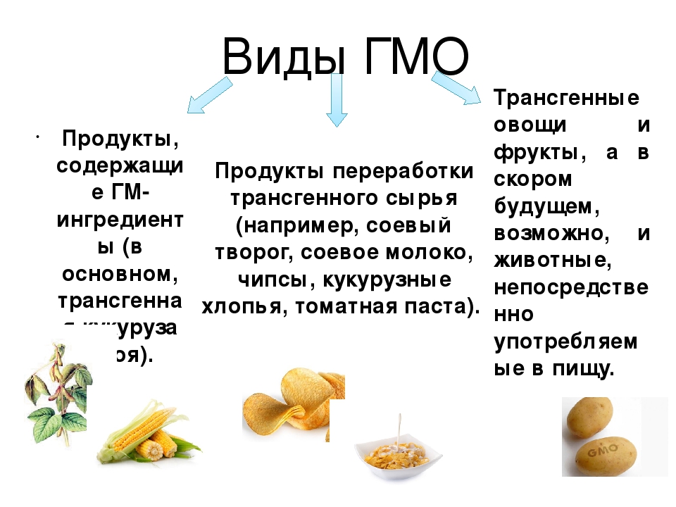 Продукты содержащие гмо. ГМО презентация. Генномодифицированные продукты. Генетически модифицированные продукты. ГМО В продуктах питания.