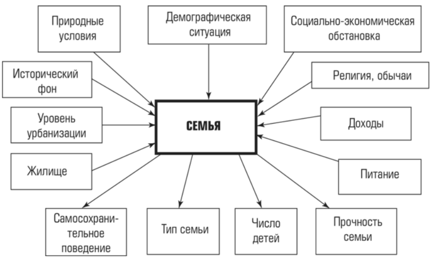 Схема социального окружения семьи