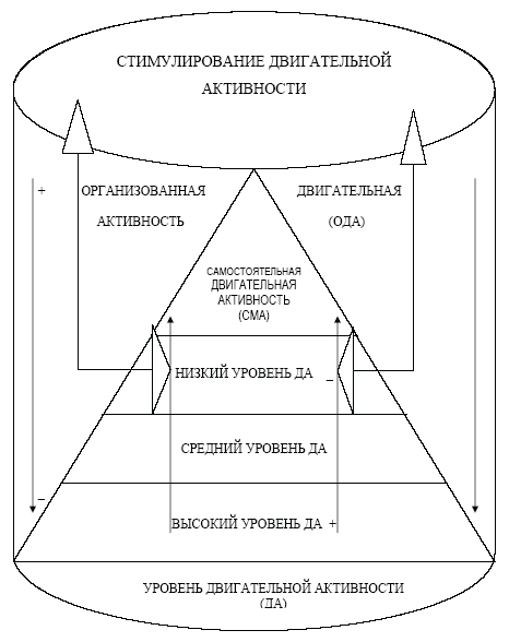 Двигательная активность схема