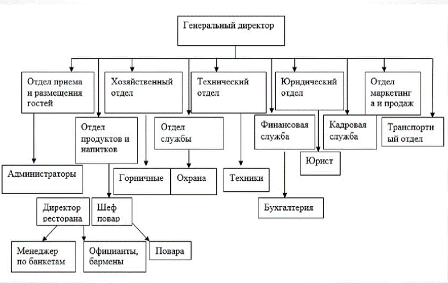 2.1 организационно экономическая характеристика ооо. Организационно экономическая характеристика гостиницы. Компетенции генерального директора. Организационно-экономическая характеристика отеля. Организационная структура отеля.