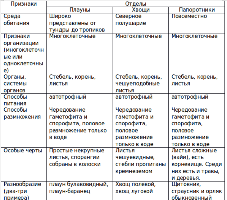 Плауны хвощи и папоротники презентация 5 класс