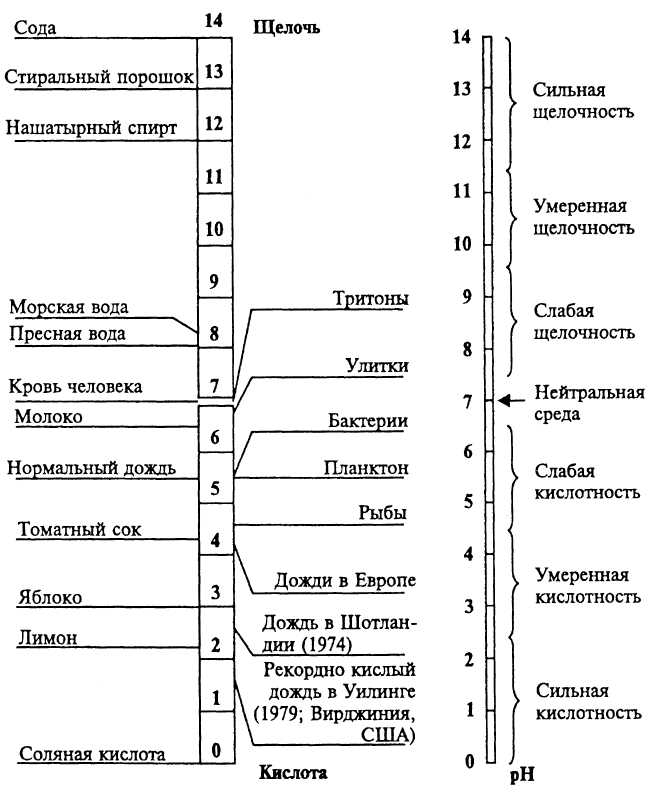 Как изменяется кислотность. Шкала кислотности среды. Шкала кислотности PH химия. Кислотность водных растворов PH. РН шкала кислотности и щелочности схема.