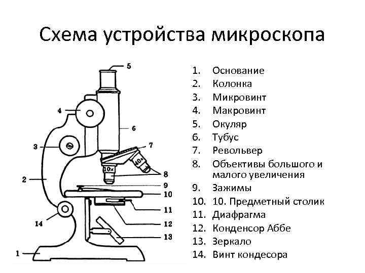 Из чего состоит эскиз