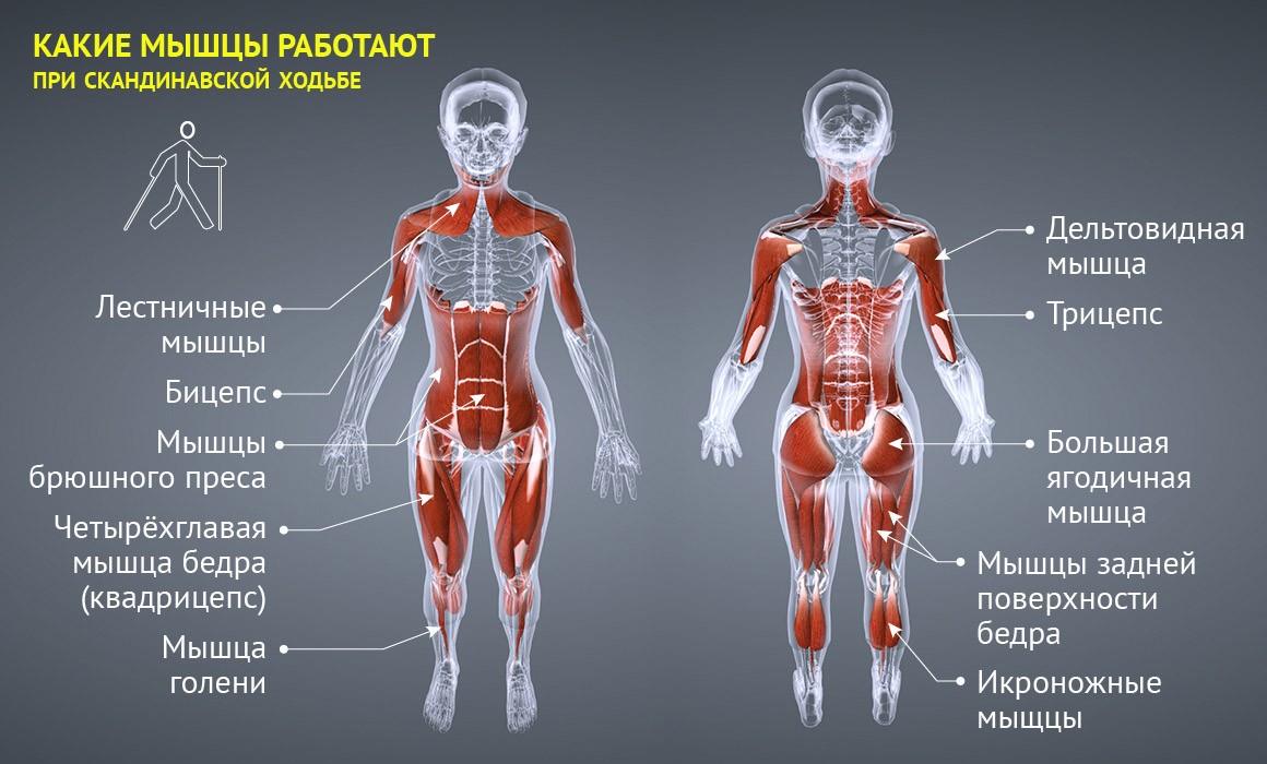 Ходьба на скандинавской дорожке для похудения