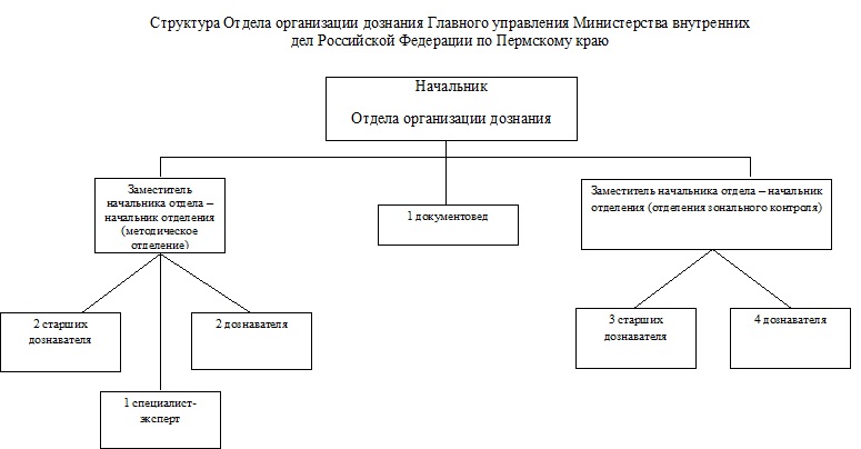 Организация управления органов внутренних дел. Структура управления организации дознания МВД России. Структура управления по организации дознания МВД России. Организационная структура отделения дознания. Структура отдела дознания МВД.