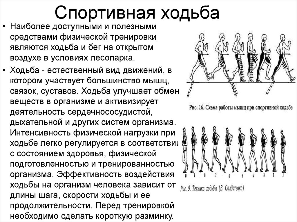 Противоход в физкультуре картинка