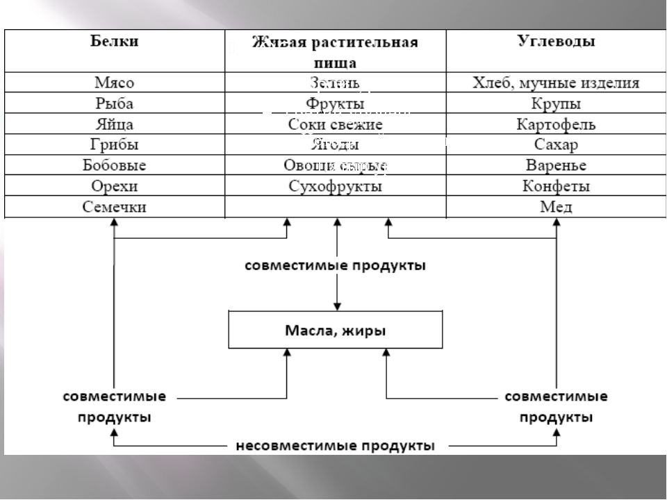 Схема питания человека