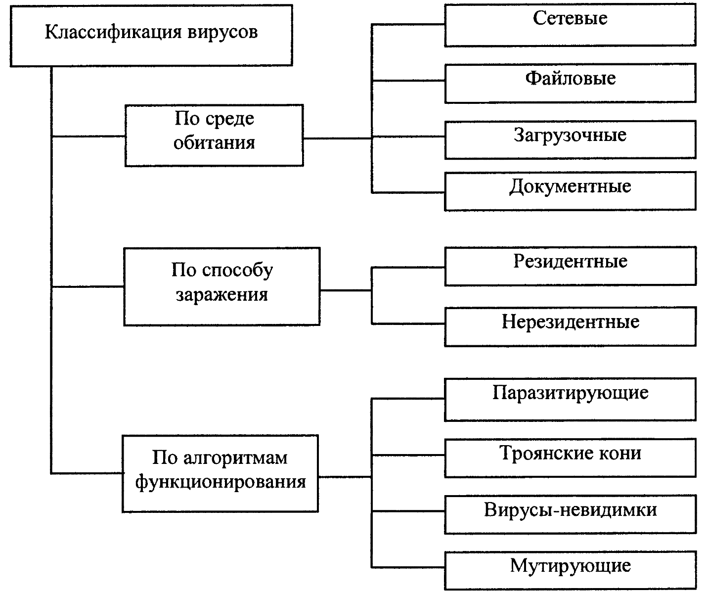 Схема классификация компьютерных программ