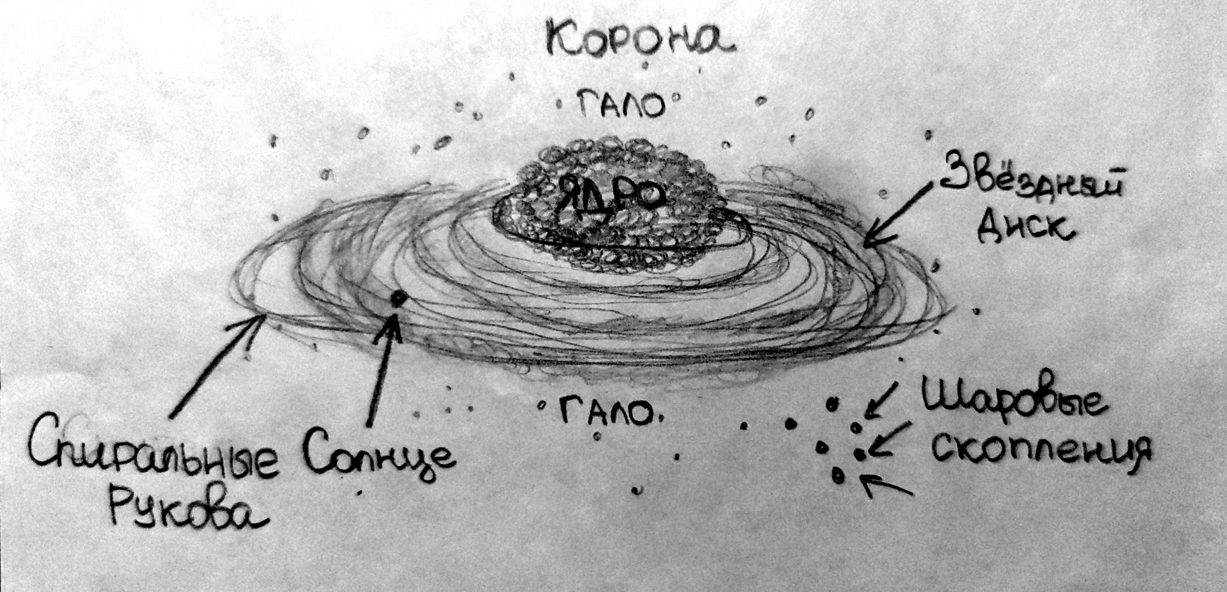 Положение солнца в галактике. Галактическое гало. Структура Галактики схема. Балдж Галактики.