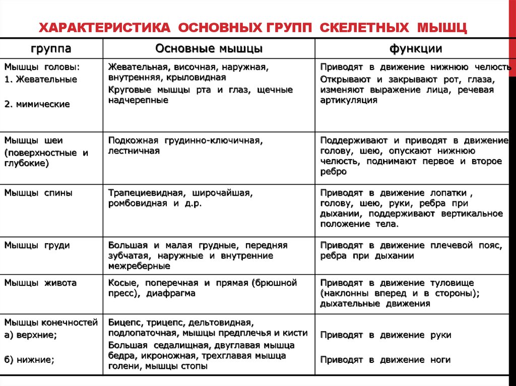 Строение организма человека 8 класс презентация пасечник