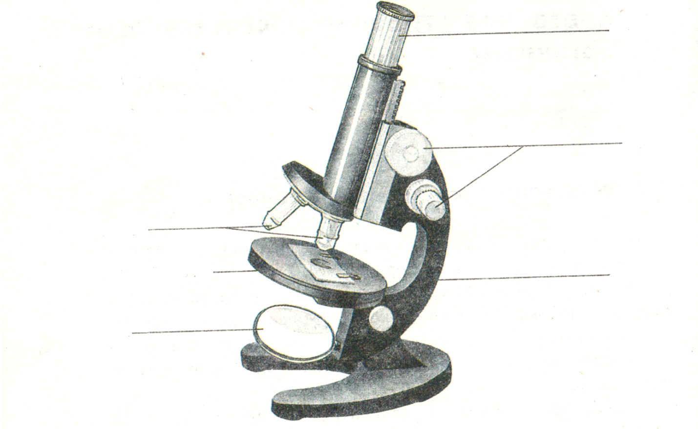 Строение увеличительных приборов микроскоп