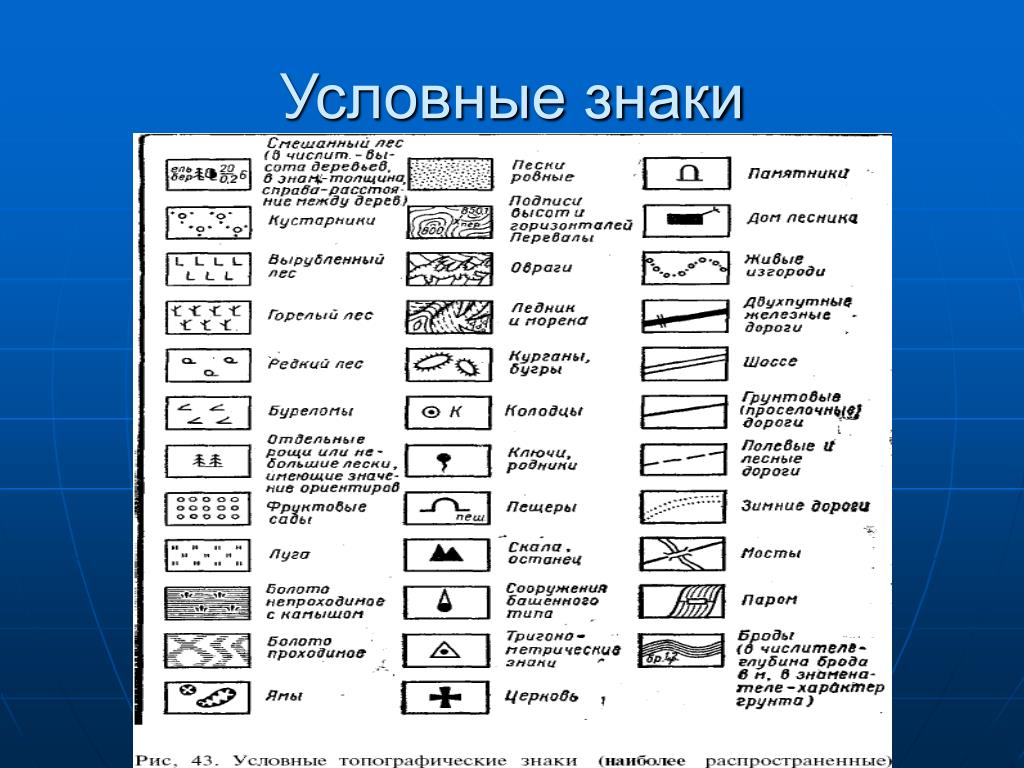 Графическое изображение местности это