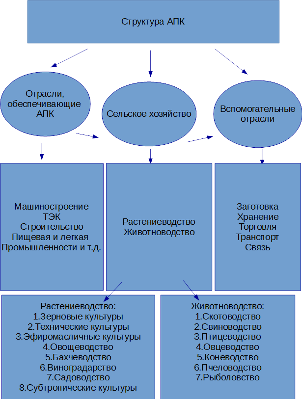 Отрасли входящие в состав сельского хозяйства. Структура АПК схема. Структура агропромышленного комплекса. Структура агропродовольственного комплекса. АПК структура отрасли.