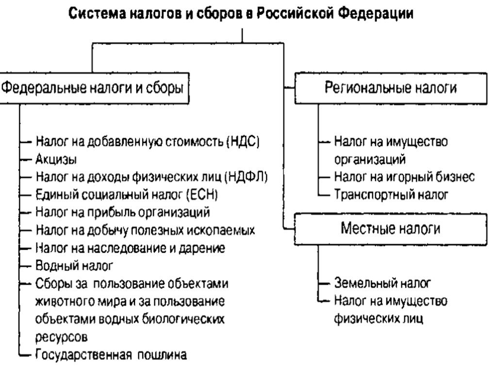 Схема система налогов и сборов в рф