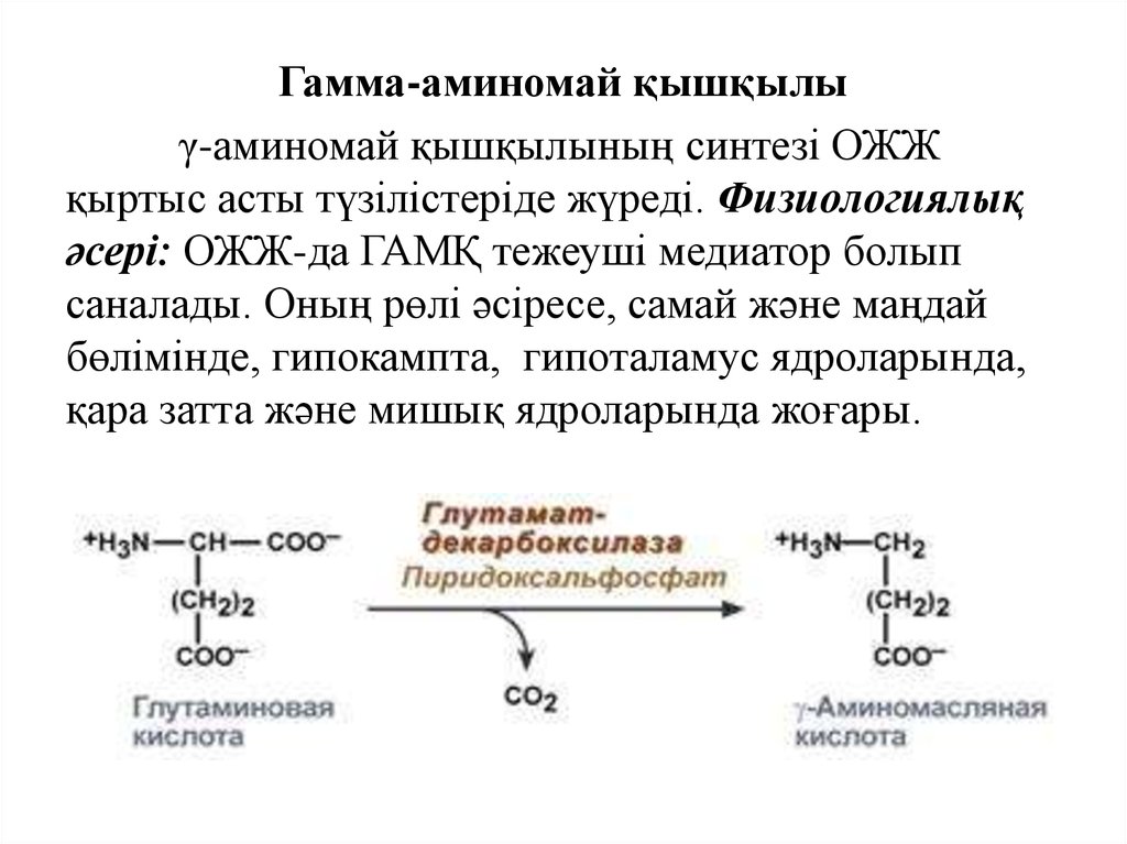 Аминомасляная кислота продукты