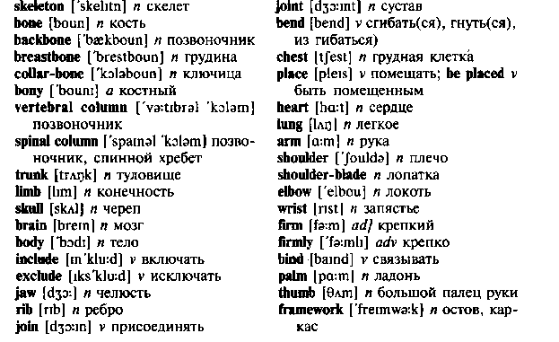 Body как переводится на русский. Части тела на английском. Скелет слова на английском. Медицинские термины на английском. Части тела на английском 5 класс с переводом.