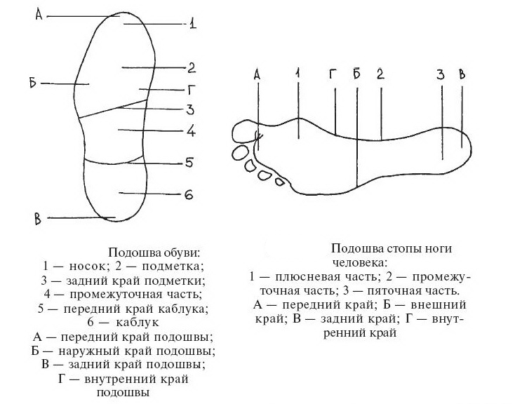 Обозначьте и укажите на рисунке части следа босой ноги криминалистика