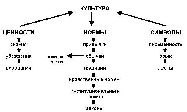 Что такое культура схема