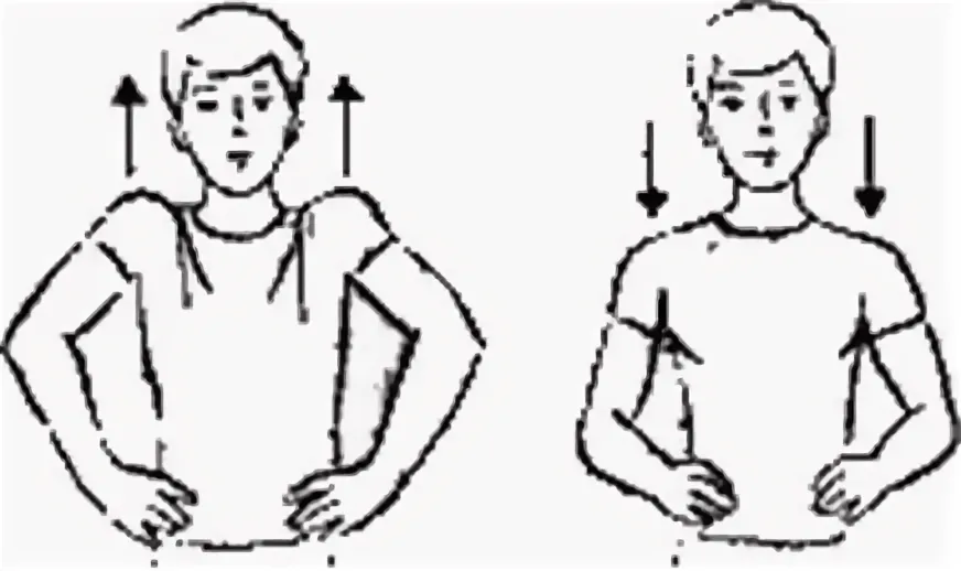 Движение плеча вперед. Движения плечами вперед (назад, вверх, вниз).. Поднимание и опускание плеч. Вращательные движения плечами. Вращение плечами упражнение.