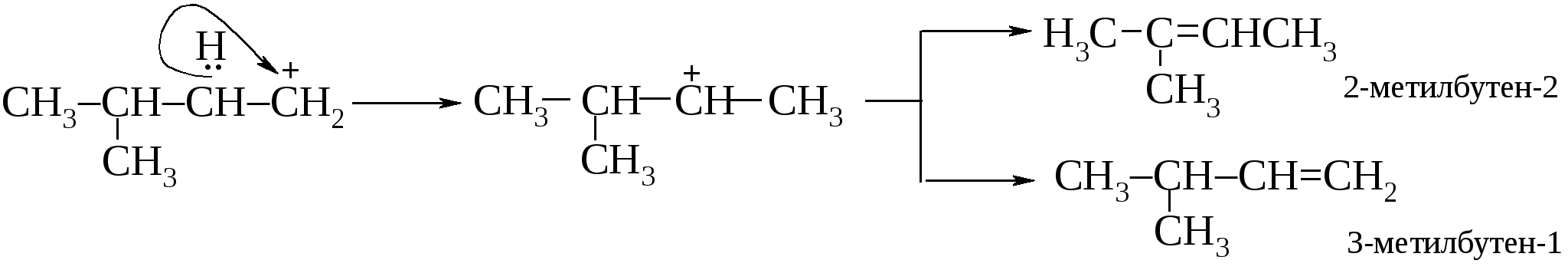2 Метилбутен 2 полимеризация. 2 Метилбутен 1. 3 Метилбутен 2. 2 Метилбутен 2 HCL. 2 метилбутен 1 реакция